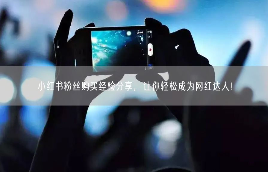 小红书粉丝购买经验分享，让你轻松成为网红达人！