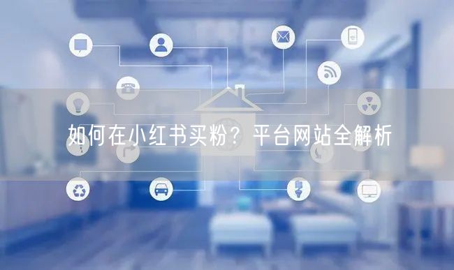如何在小红书买粉？平台网站全解析
