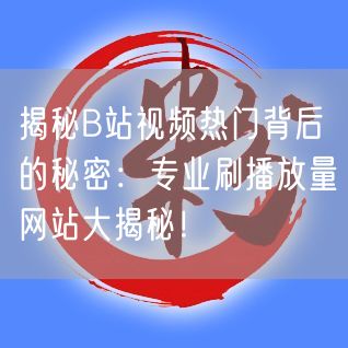 揭秘B站视频热门背后的秘密：专业刷播放量网站大揭秘！
